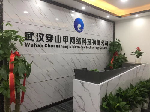 武汉穿山甲网络科技 专业的网络技术服务提供商